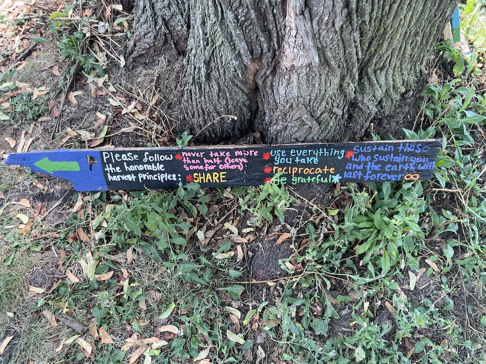 Honorable harvest principles