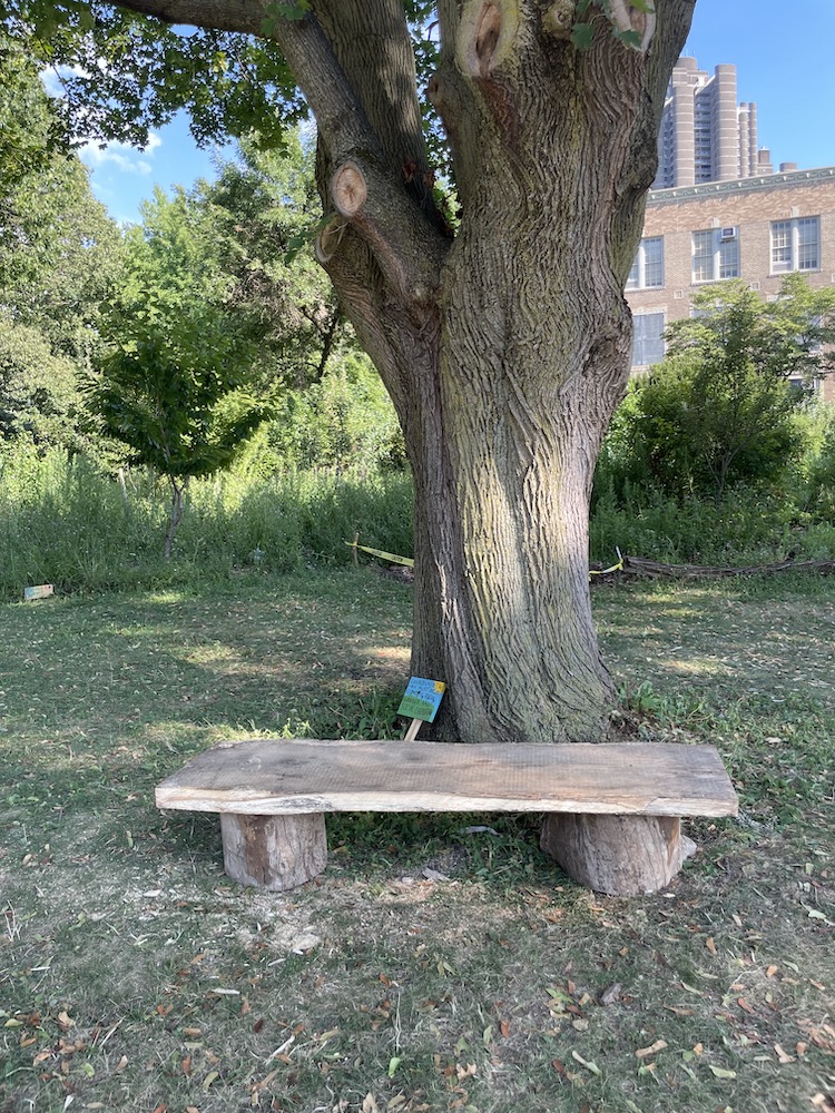 JBOLC wood bench, tree, sign