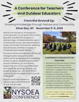 Conference Flyer